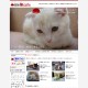 招き猫cafe