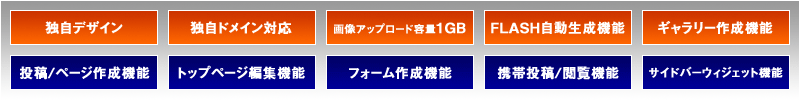 独自デザイン、独自ドメイン対応、画像アップロード容量1GB、FLASH自動生成機能、ギャラリー作成機能、投稿／ページ作成機能、トップページ編集機能、フォーム作成機能、携帯投稿／閲覧機能、サイドバーウィジェット機能