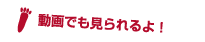 動画でも見られるよ！