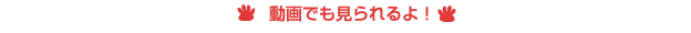 動画でも見られるよ！